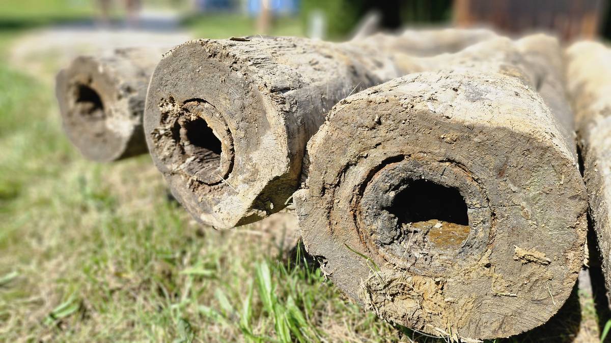 Dřevěné potrubí zřejmě pochází ze 14. století, přesné stáří historického vodovodu určí odborníci. 