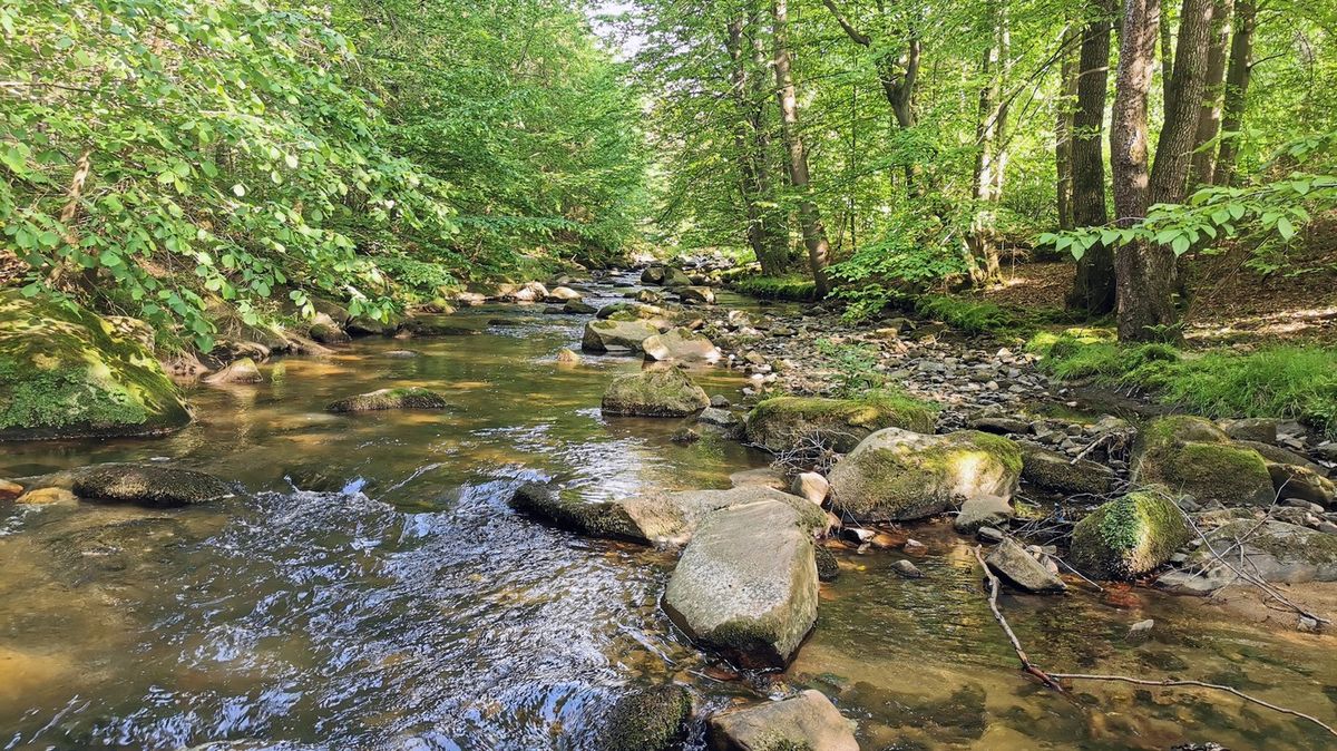 Vouchery na pobyt v Jeseníkách bude možné získat od pondělí. Lidé díky nim ušetří i tisíce korun