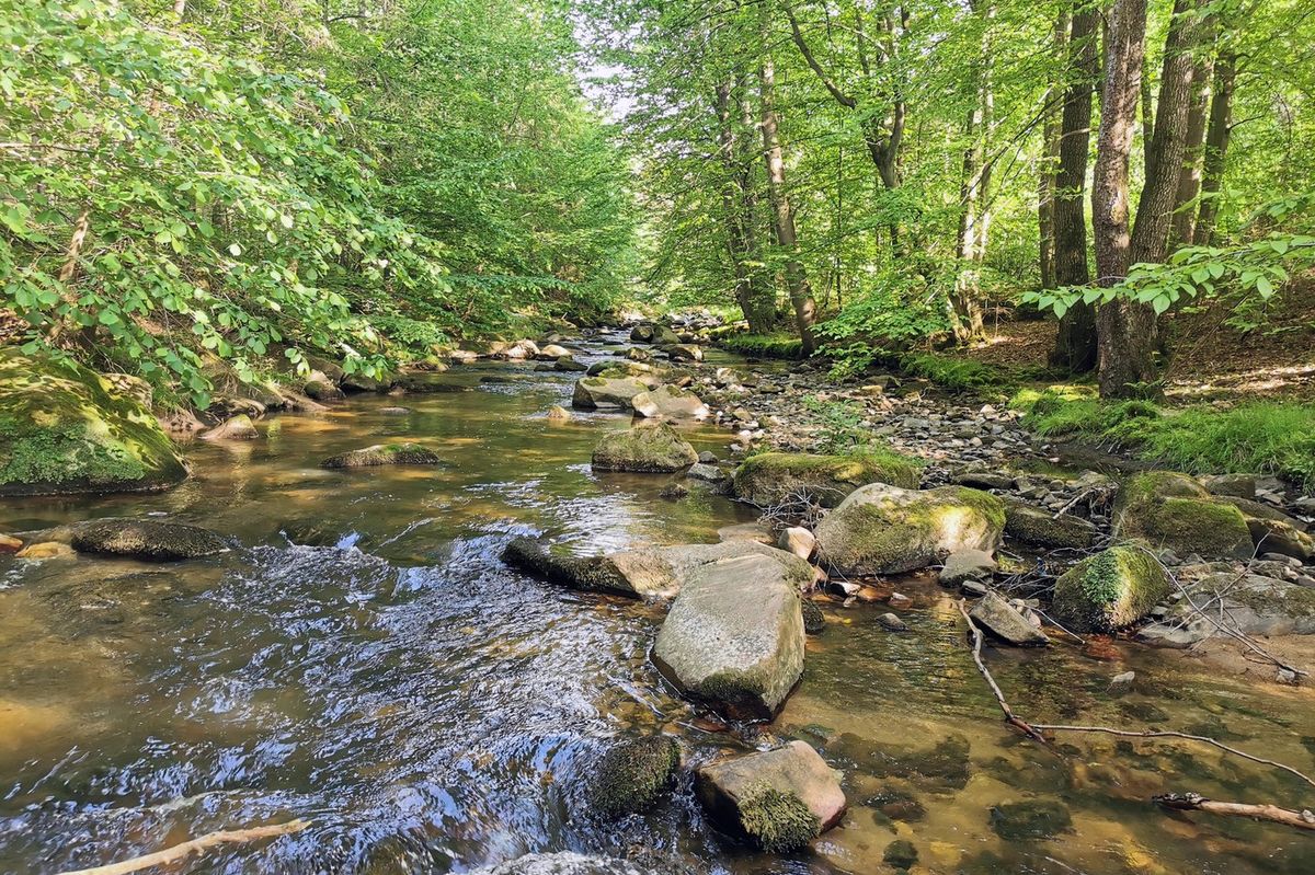 Vouchery na pobyt v Jeseníkách bude možné získat od pondělí. Lidé díky nim ušetří i tisíce korun