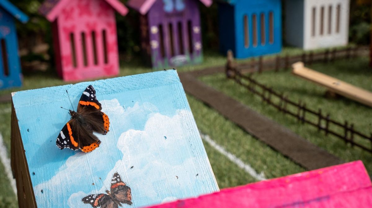 Ještě víc motýlů! U anglického hotelu postavili spoustu domečků, které mají přilákat další hmyzí krasavce.