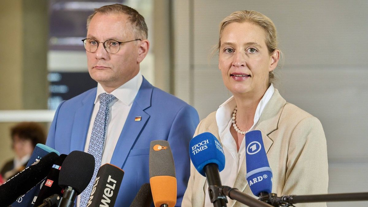 AfD se vyhoupla do čela preferencí. Sto dní po nástupu Merzovy vlády