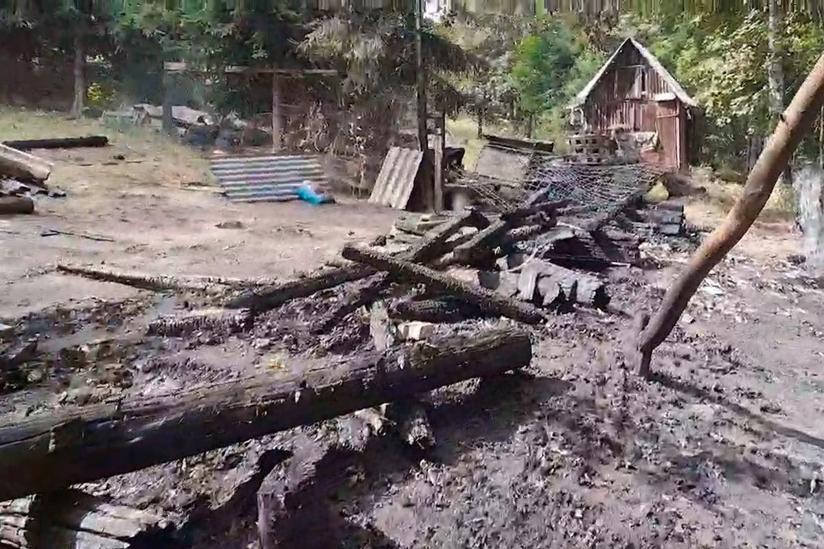 Na Karlovarsku uhořelo pět fen. Policie hledá žháře