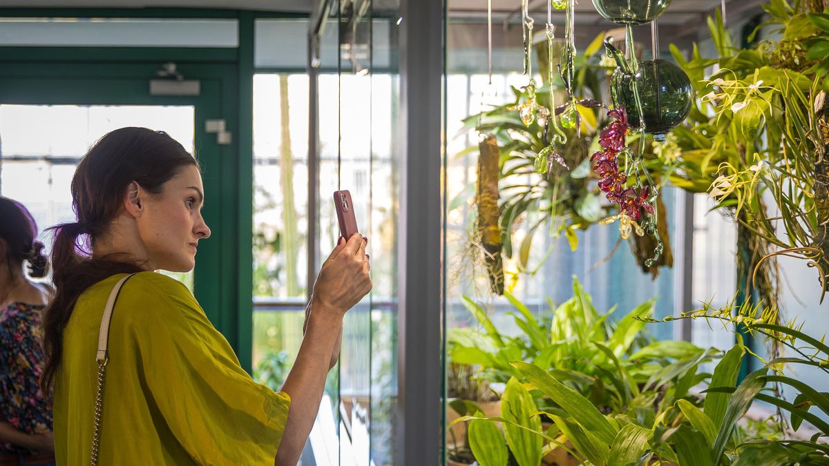 Botanická zahrada v Liberci rozkvetla netradičními květy. Vzešly z ohně