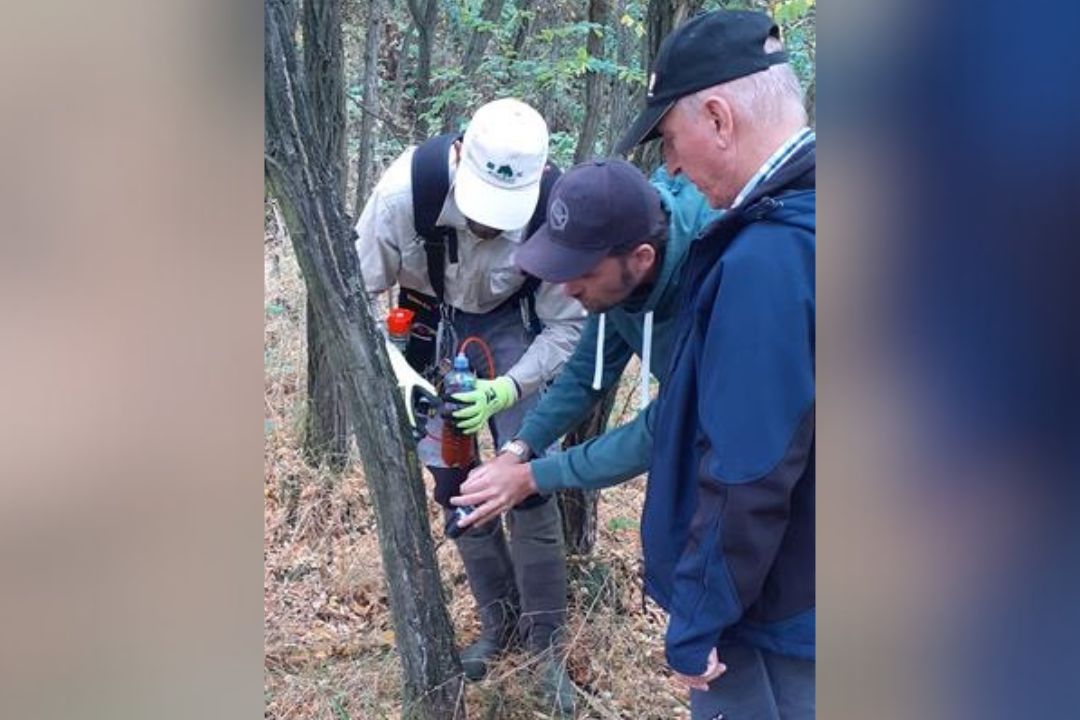 Nové Mlýny ohrožují invazivní dřeviny. Odborníci je likvidují injektáží herbicidu