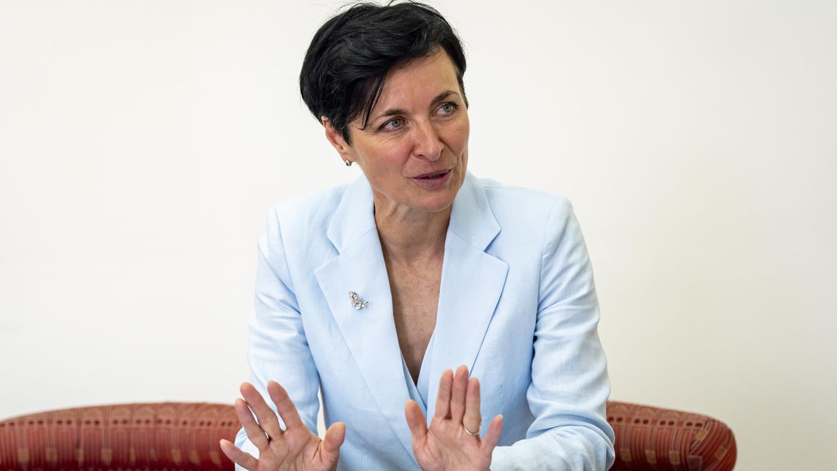 Bradáčová: Agrese a násilí u mladých roste, policie jezdí do škol co týden