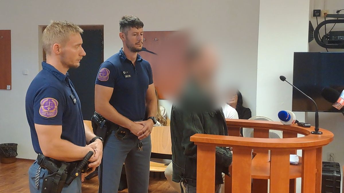 Asi jsem ho zabil, aby neskončil v děcáku. Muž, který na Teplicku zmasakroval svou rodinu, vypovídal u soudu