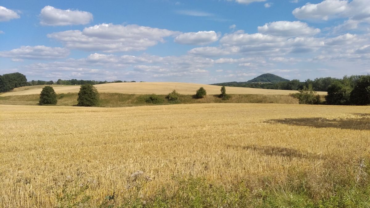 Čekají nás příjemné letní dny