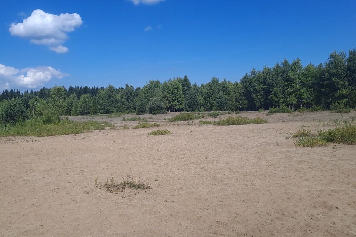 U Měděnce v Krušných horách na Chomutovsku se po letech bude znovu těžit