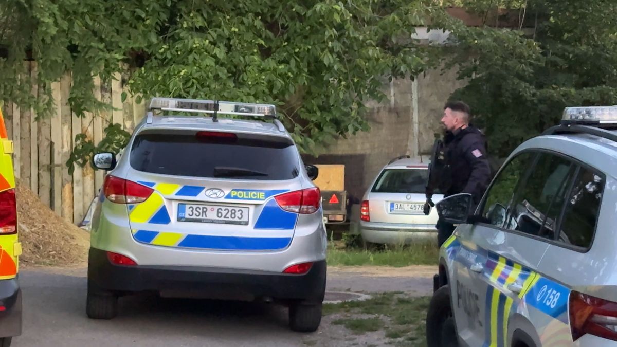 Lojza tu řval, ale byl hodný a nechal se i podrbat, vzpomínají lidé na zastřeleného lva