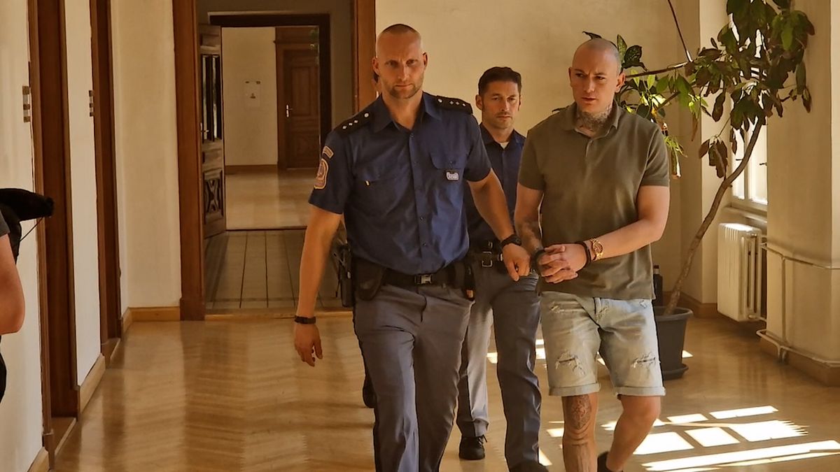 Brněnský „Grinch“ půjde za zkažené Vánoce do vězení. Lidem ze zahrad a balkónu kradl vánoční cukroví