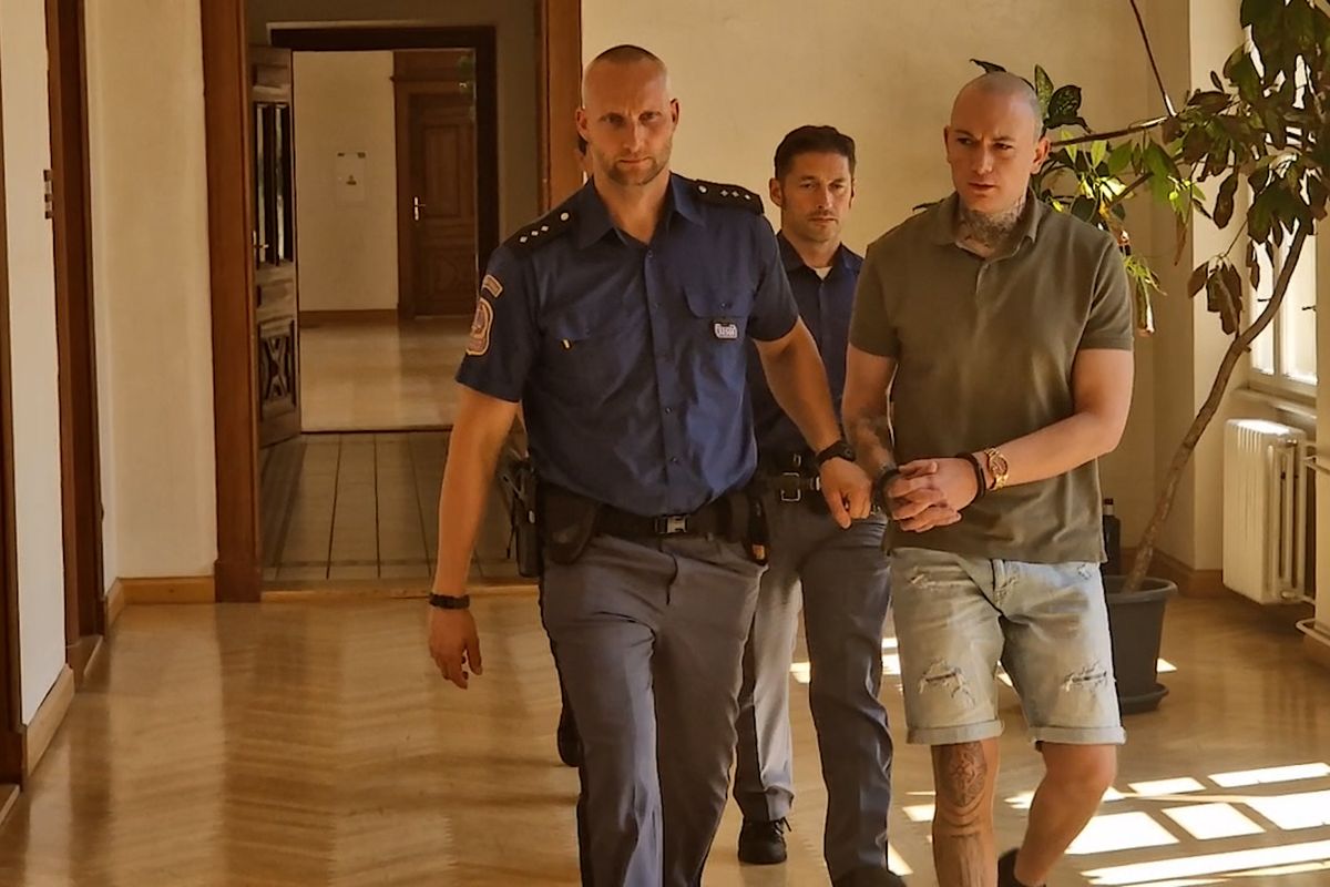 Brněnský „Grinch“ půjde za zkažené Vánoce do vězení. Lidem ze zahrad a balkónu kradl vánoční cukroví
