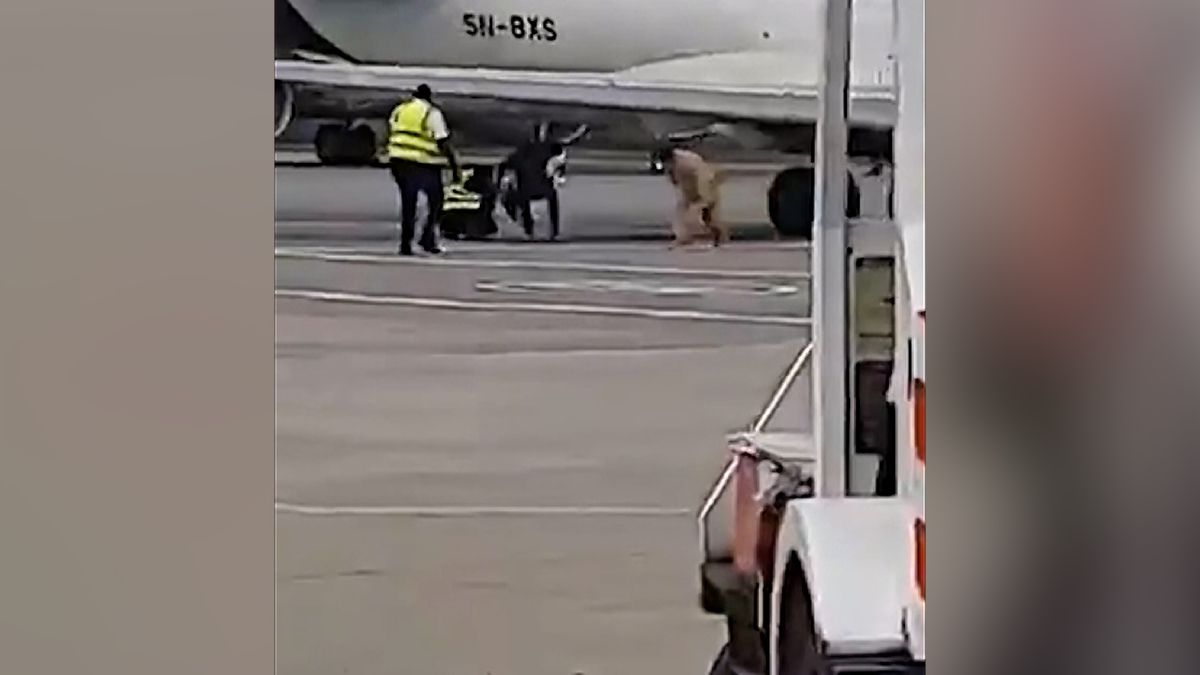 Pilot křídlem letadla málem „sejmul“ hlavy pracovníkům na ploše