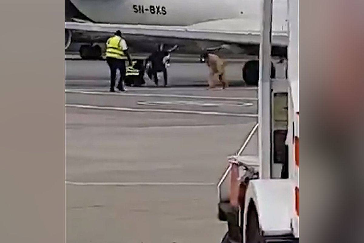 Pilot křídlem letadla málem „sejmul“ hlavy pracovníkům na ploše