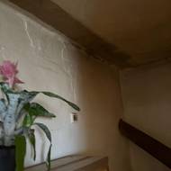 Prostory jsou špinavé, plesnivé a vyskytují se v nich i švábi. 