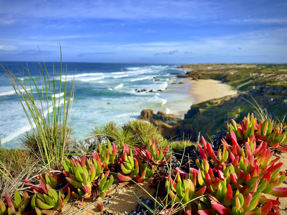 Praia do Malhao je jednou z nejfotografovanějších částí trasy. V teplejších měsících se na písečné krásce turisté mohou vykoupat.