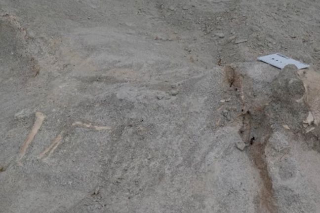 V poušti Gobi identifikovali nejstaršího dinosaura s „helmou“