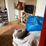 Seniorka tady přebývala asi týden, než ji zachránily tachovské sociální pracovnice. 