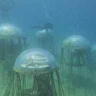 Součástí festivalu je i sekce filmů zabývajících se budoucností architektury. Té je věnován i snímek Is Our Future on Water? (Je naše budoucnost na vodě?)