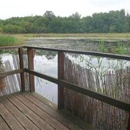 Palisády pro odtěžené bahno se potáhnou od ptačí pozorovatelny k přítoku