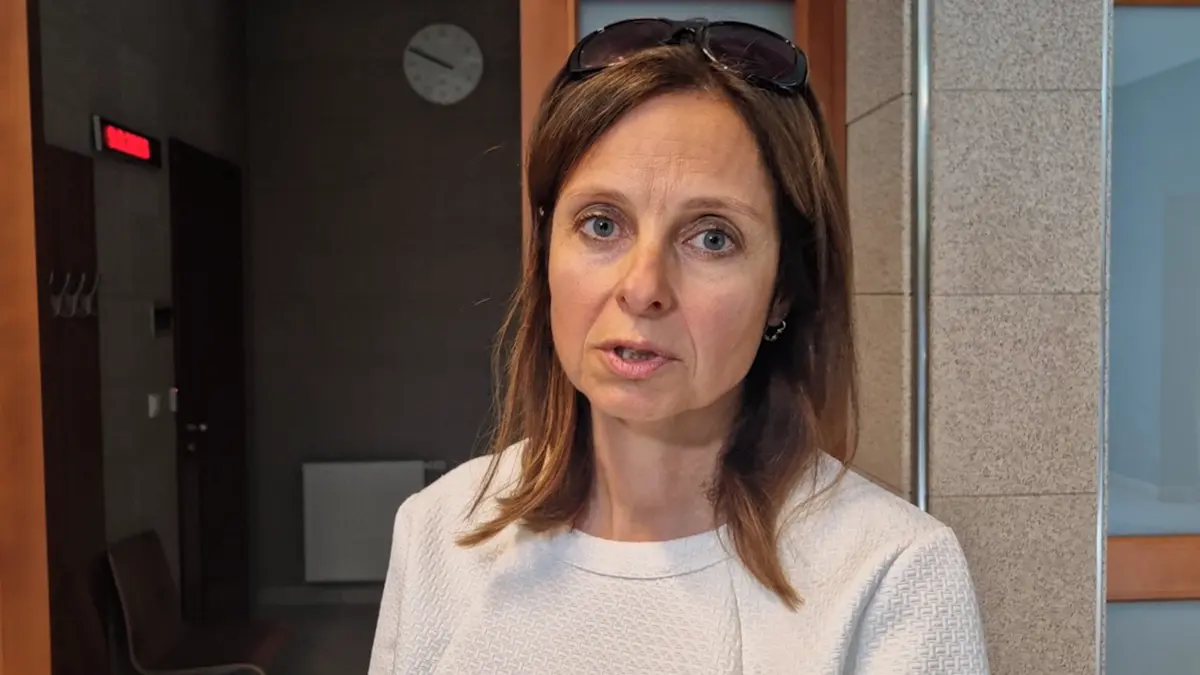 Děti brutálně útočí i jen kvůli samotnému zážitku, říká žalobkyně, která usvědčila brněnského teroristu