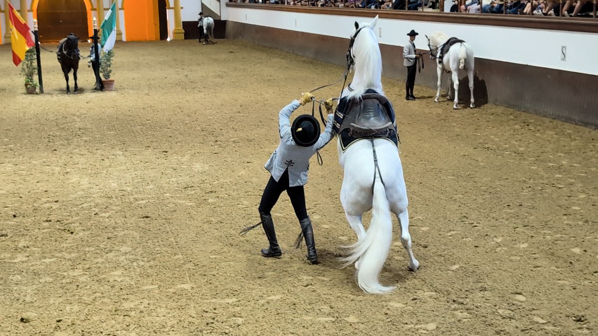 Když tančí andaluští koně, srdce zaplesá 