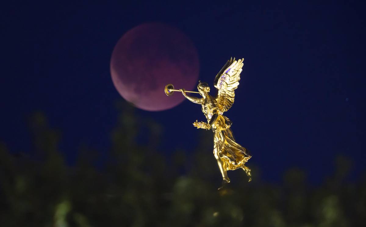 Bohyně Phema troubí na měsíc ze střechy Akademie výtvarných umění v Drážďanech.