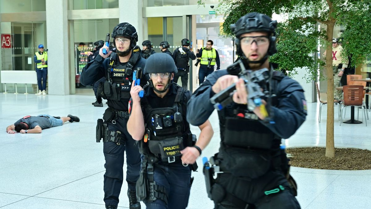 Vnitro ani za osm let nezvládlo zavést systém ochrany měkkých cílů, varuje NKÚ