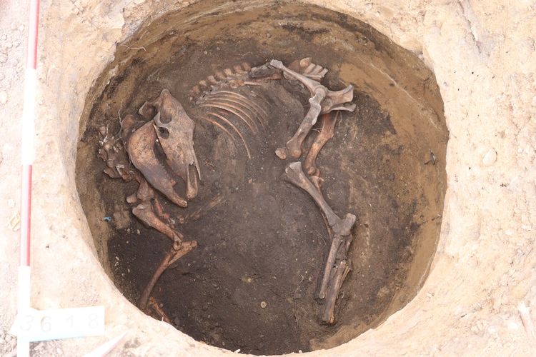 Žlaby i pece. Archeologové odhalili při stavbě bytů v Brně stopy pravěkého osídlení