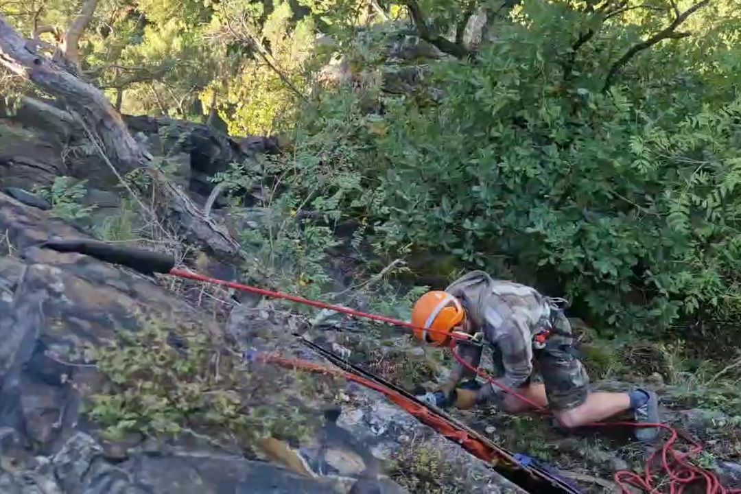 Ze skal na Šancích u pražské Točné zmizela pamětní deska vědce Nickerla, čeká ji obnova