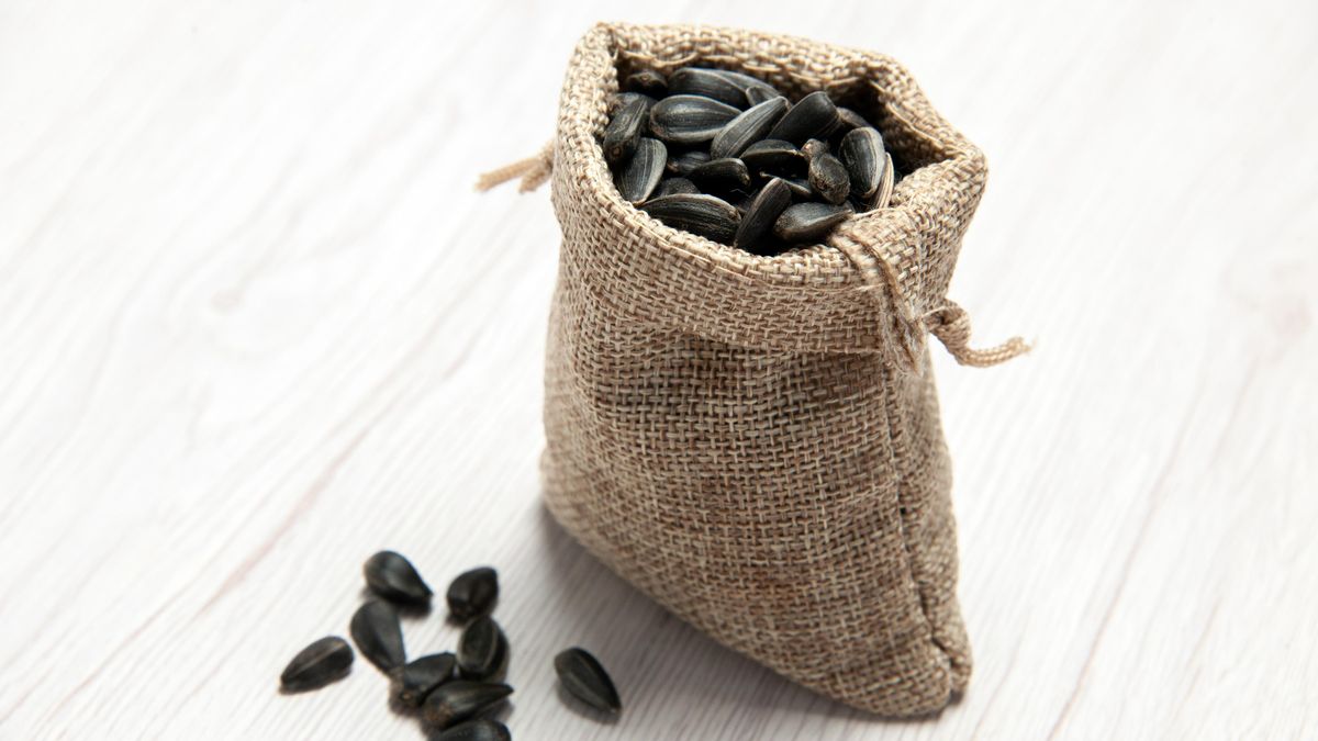 Sběr semínek letniček a trvalek: Snadný způsob, jak si připravit osivo pro příští rok