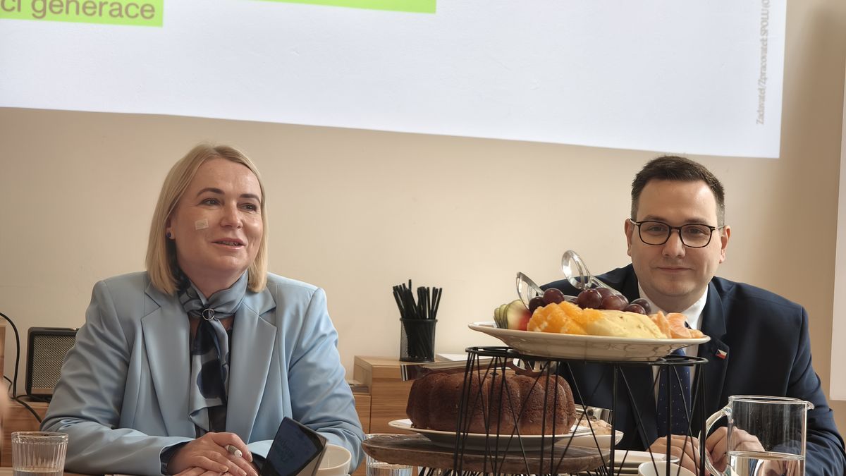 Spolu: Obrana Česka poroste, klíčový je i nábor do armády a dobré jméno Česka ve světě