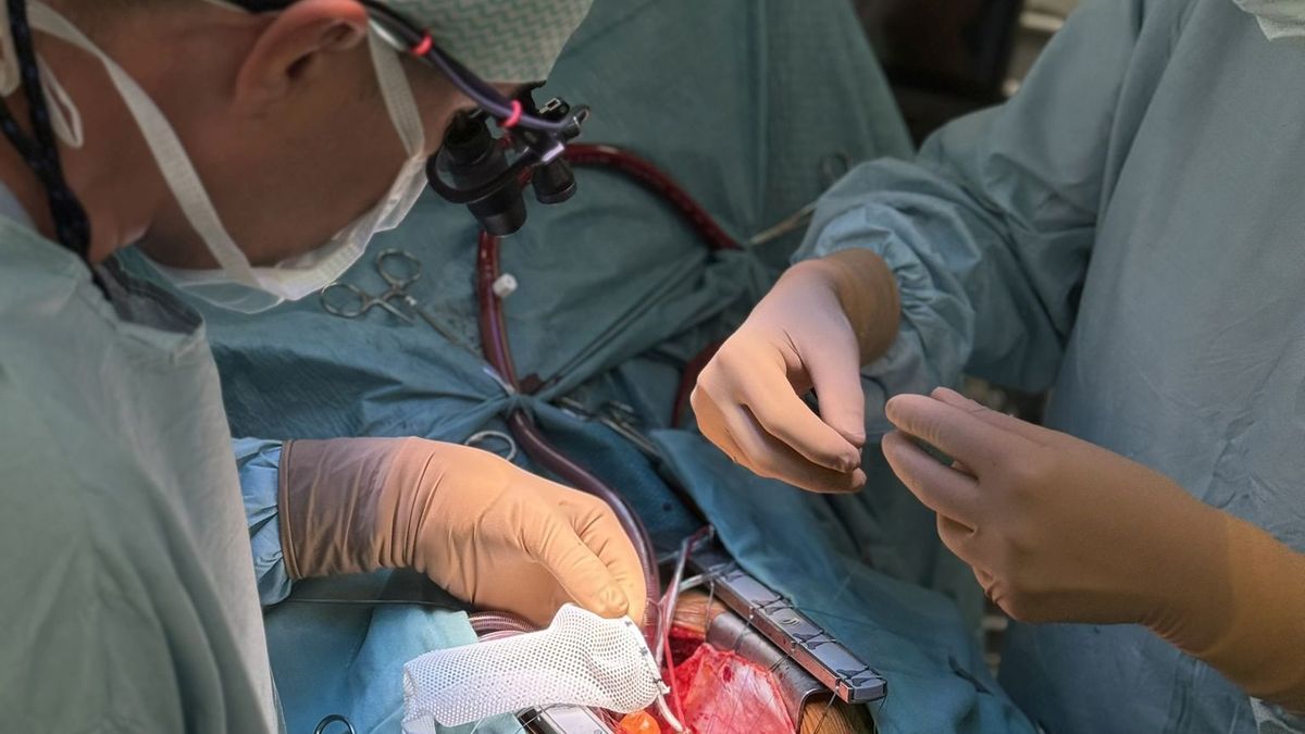 Poškozenou aortu pomáhá spravit speciální síťka vyrobená na míru 