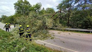 Problémy v dopravě, zlámané stromy, poškozené střechy. Silný vítr úřaduje