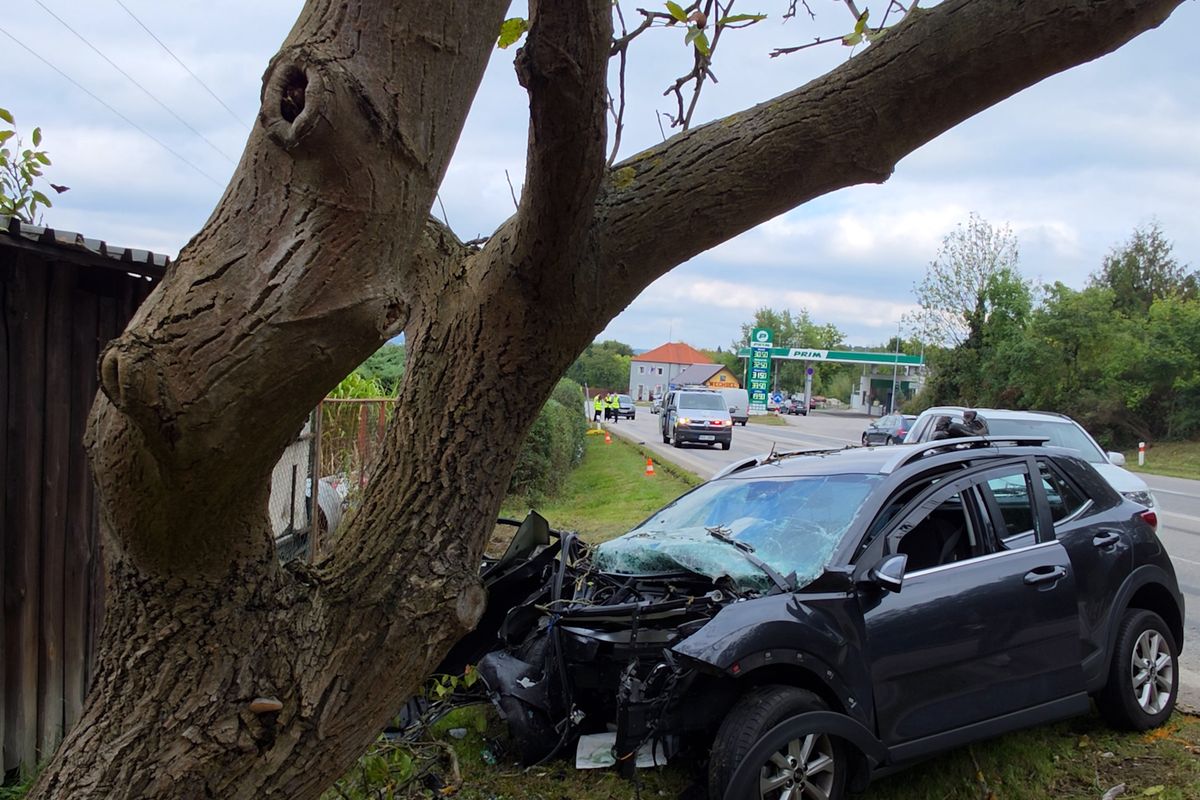 Náraz auta do stromu na Českobudějovicku nepřežil řidič ani spolujezdkyně 