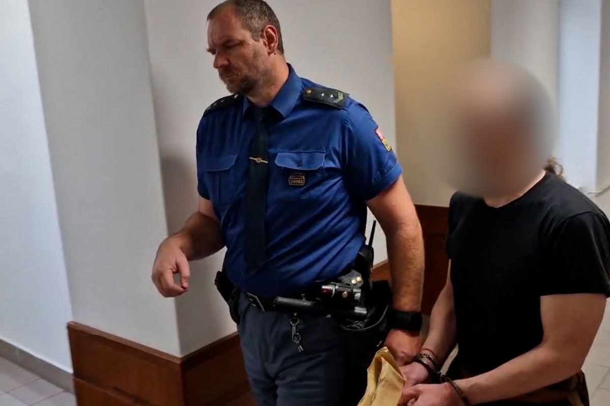 Je to predátor, pedofil, který loví děti, potvrdil soud. A zkrátil mu trest