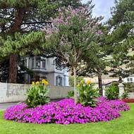 Martigny je plné zeleně.