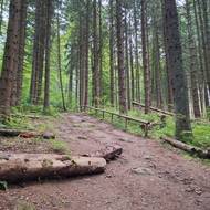 Cesta ke Stožecké kapli