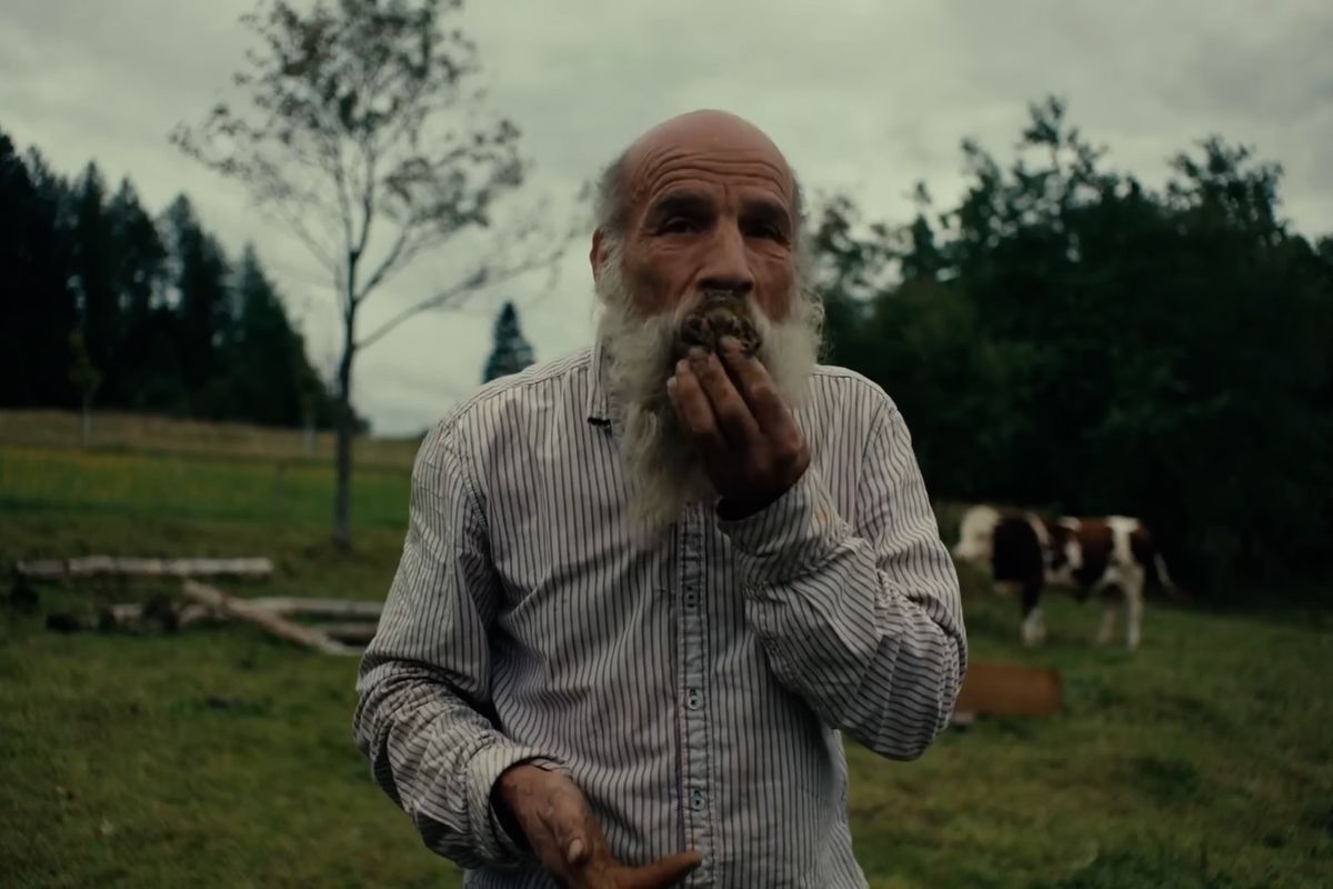 RECENZE: Smutná dohra dodává filmu Raději zešílet v divočině nový rozměr