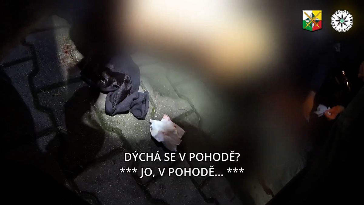 Pobodaný muž v Plzni utrpěl vážná zranění, policie zveřejnila záběry z místa