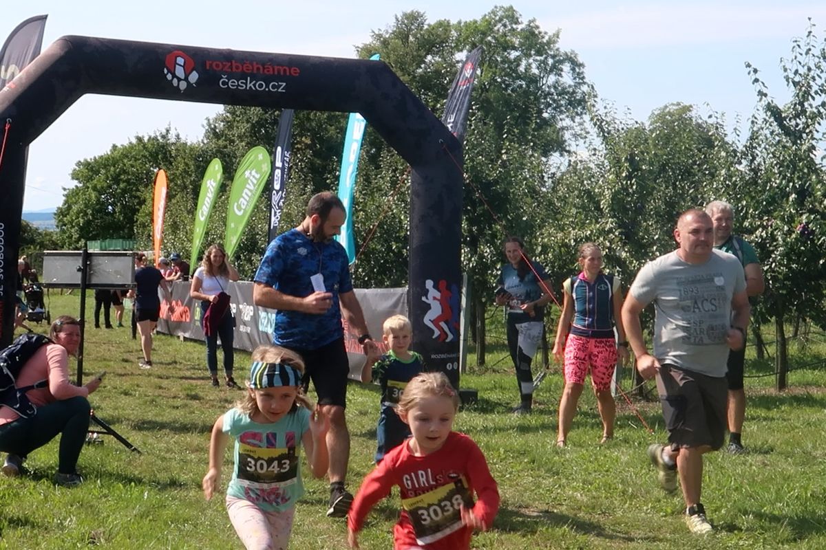 Na účastníky běžeckého závodu na Plzeňsku zaútočili sršni, čtyři skončili v nemocnici