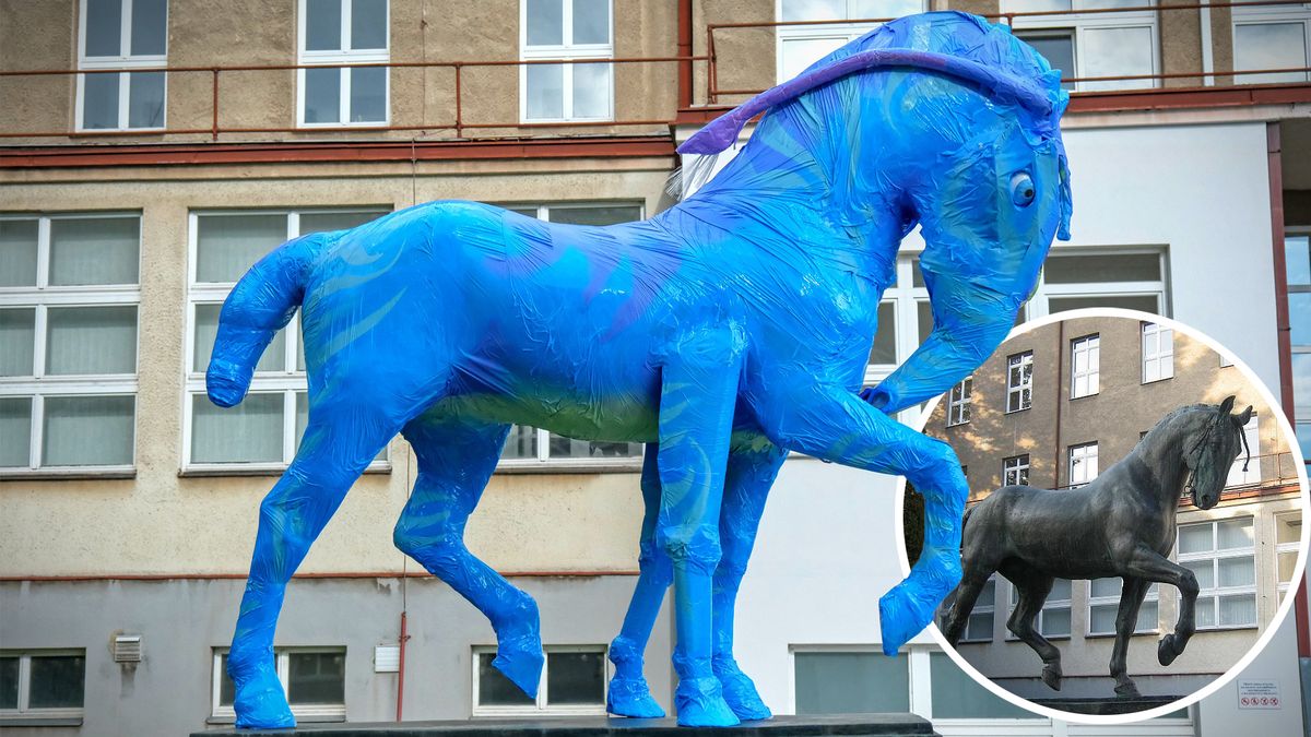 Brněnský Ardo, kůň svatého Václava, dostal netradiční modrou úpravu Avatar