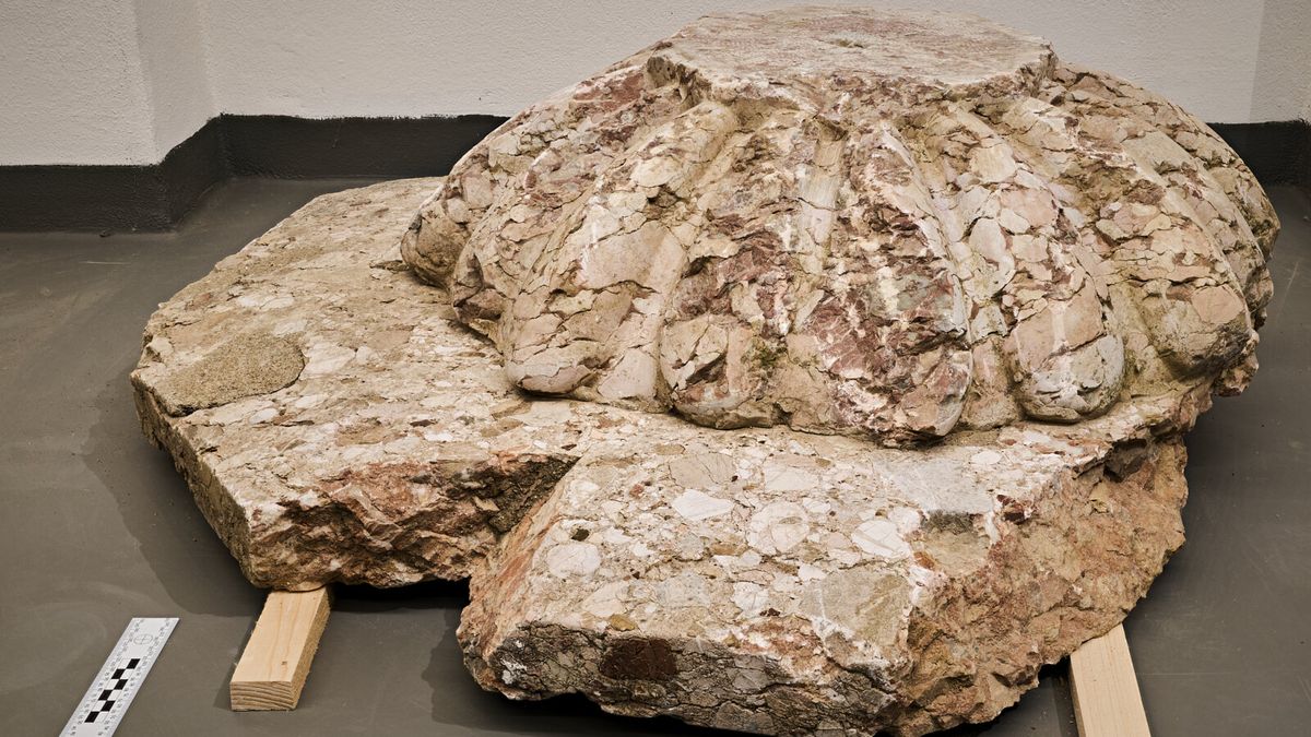 Historici pátrali po původu tajemného kamene nalezeného u brněnské Arnoldovy vily