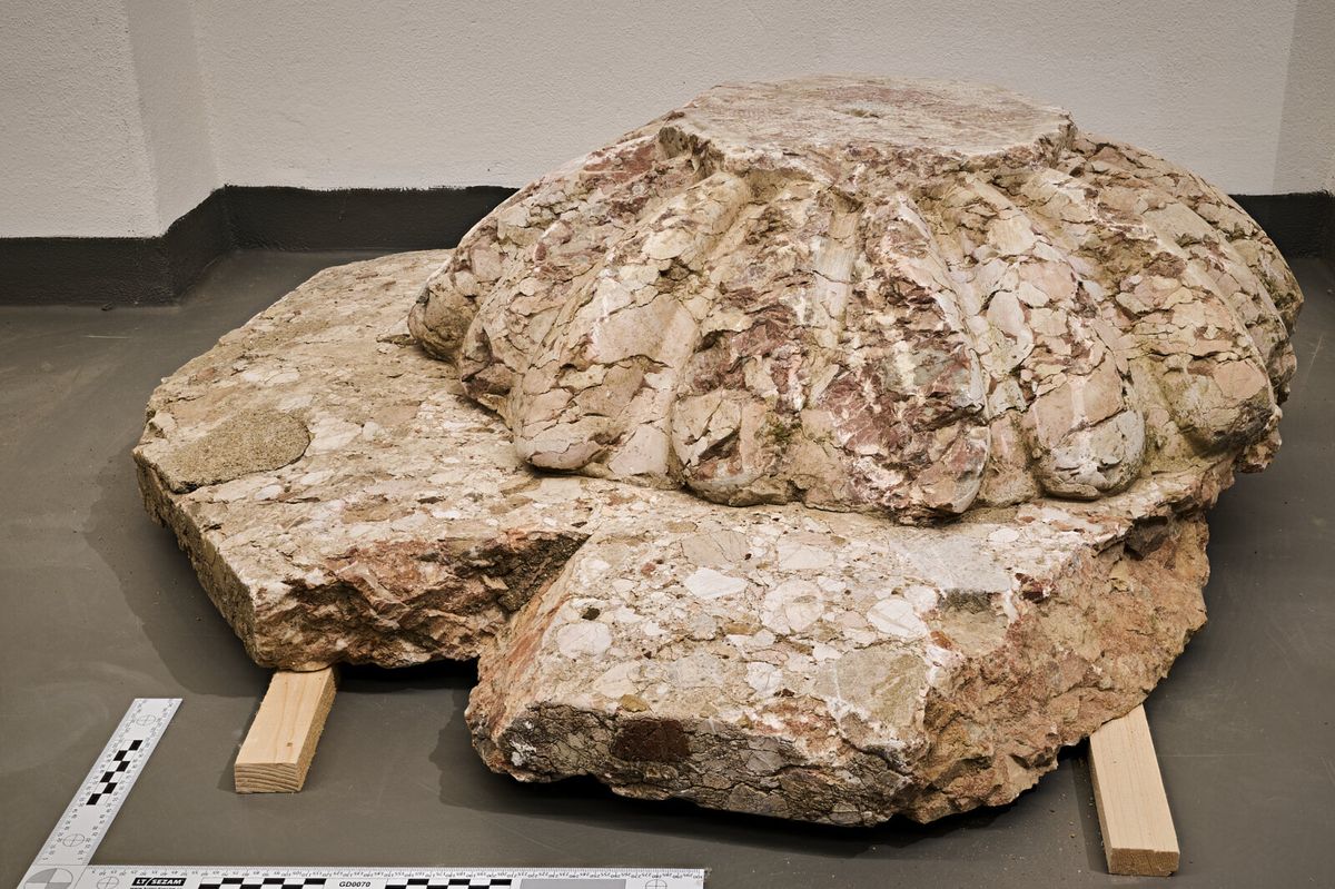 Historici pátrali po původu tajemného kamene nalezeného u brněnské Arnoldovy vily