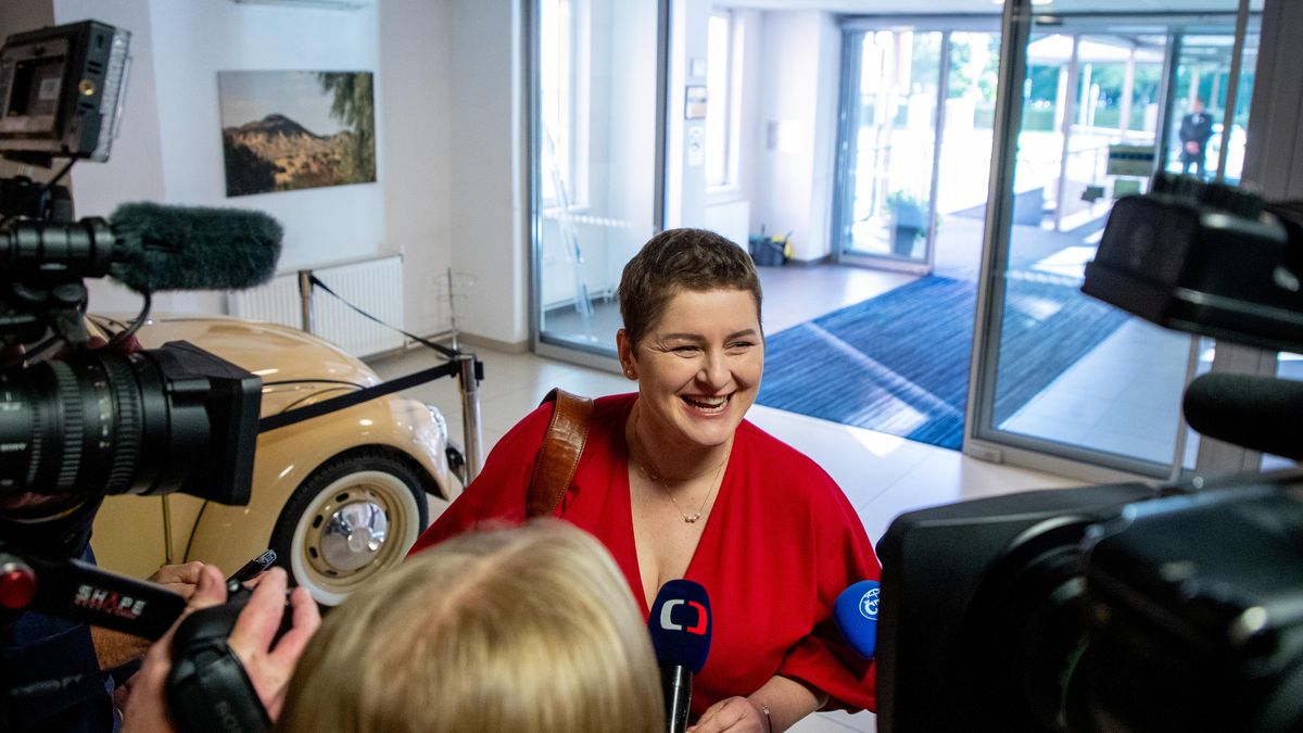 Vedení SOCDEM chce stranu vytunelovat, bojí se partajní opozice