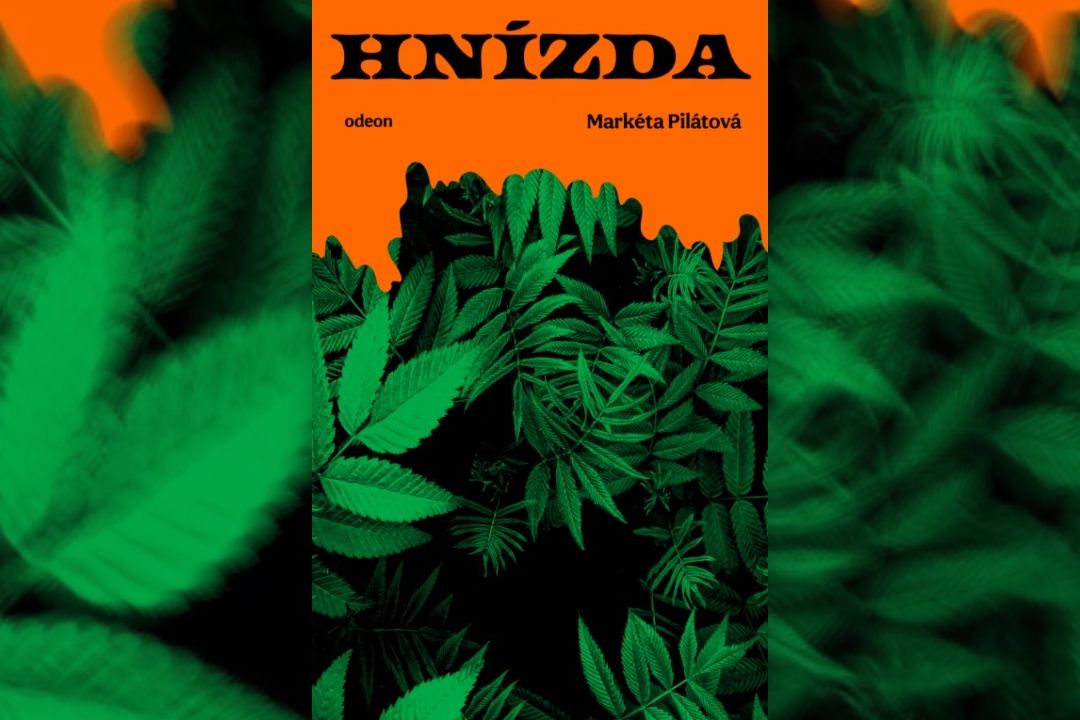 RECENZE: Čeští Němci v Brazílii a džungle dramatických osudů
