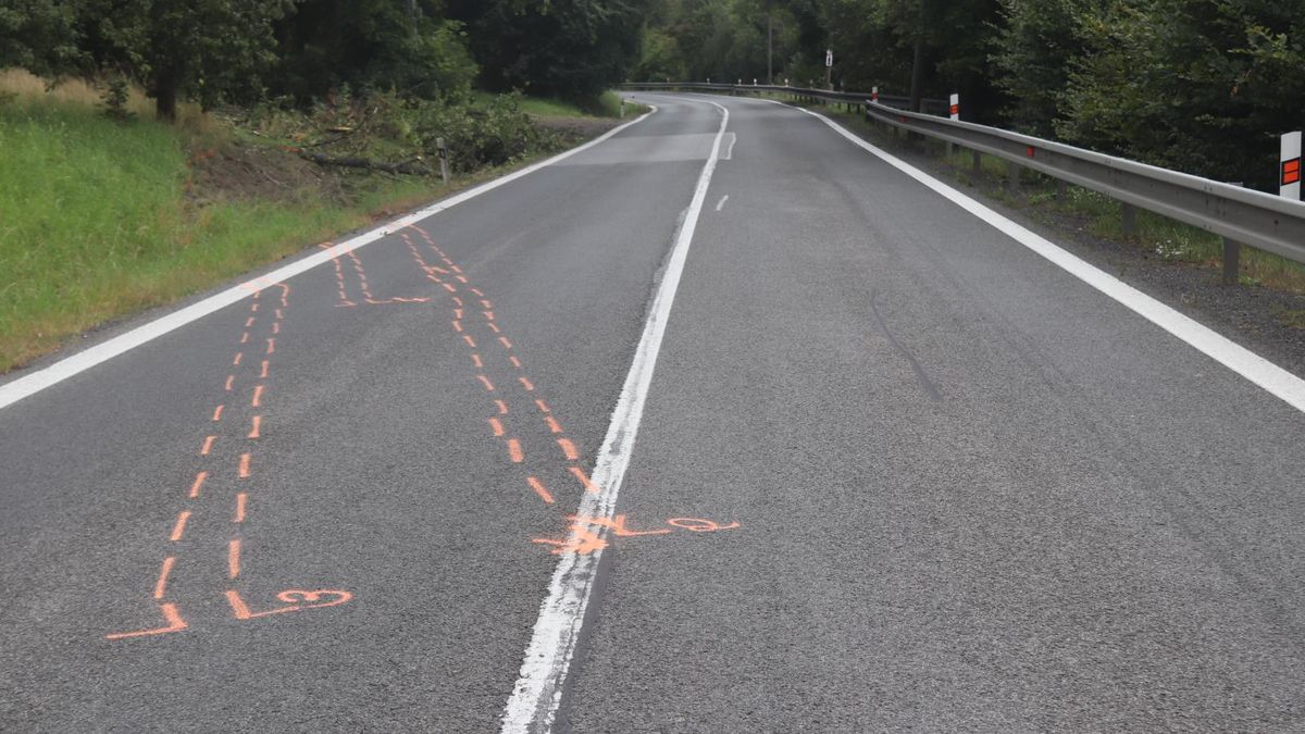 Vyhýbal se BMW v protisměru. Policie hledá svědka tragické nehody u Dolánek