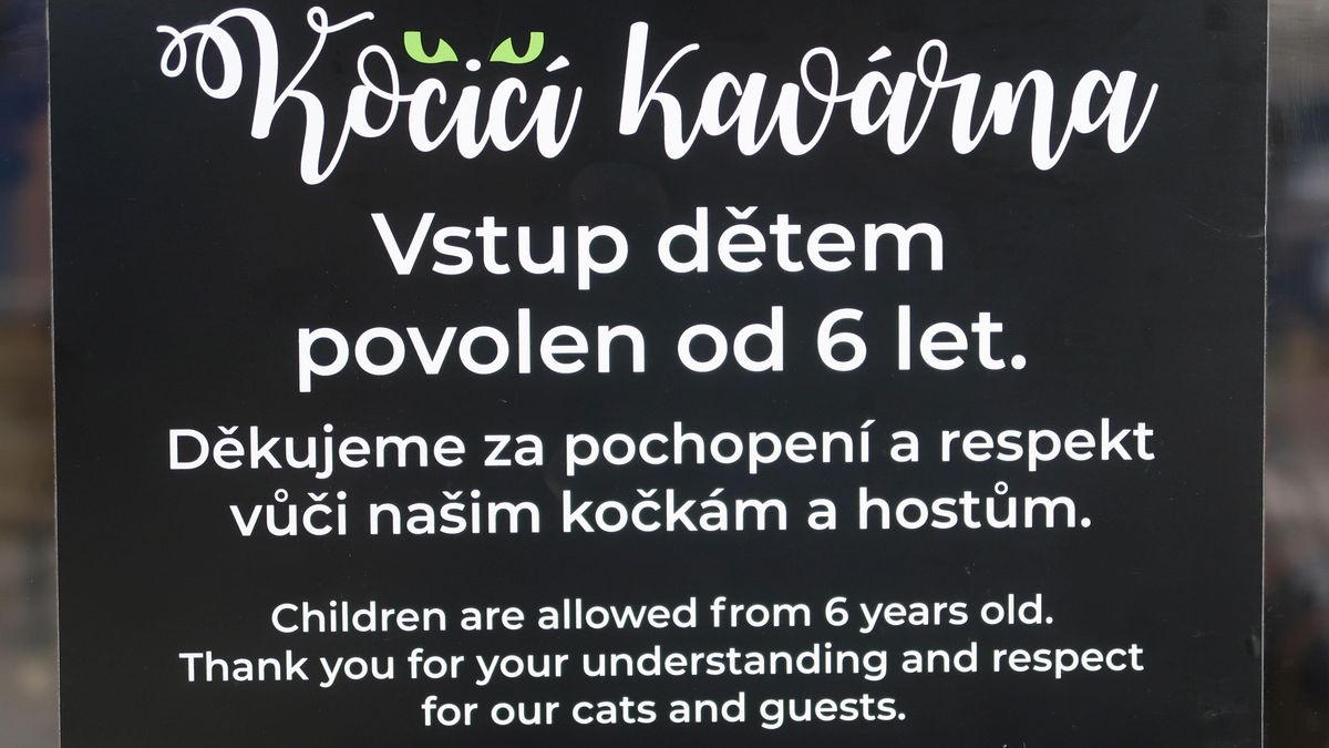 Plzeňská kočičí kavárna zakázala vstup dětem pod šest let
