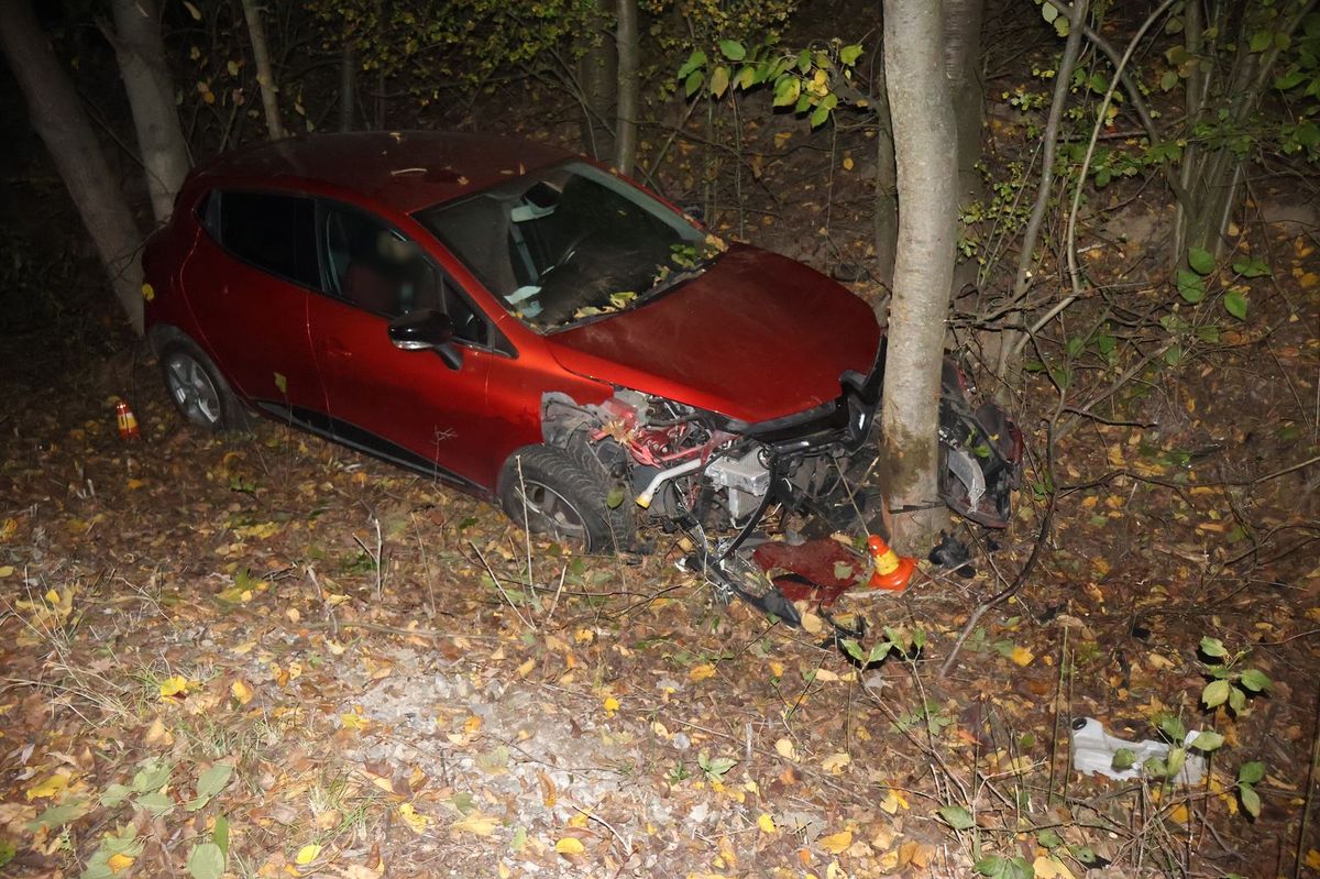 Mladého opilce v renaultu na Olomoucku zastavil až strom