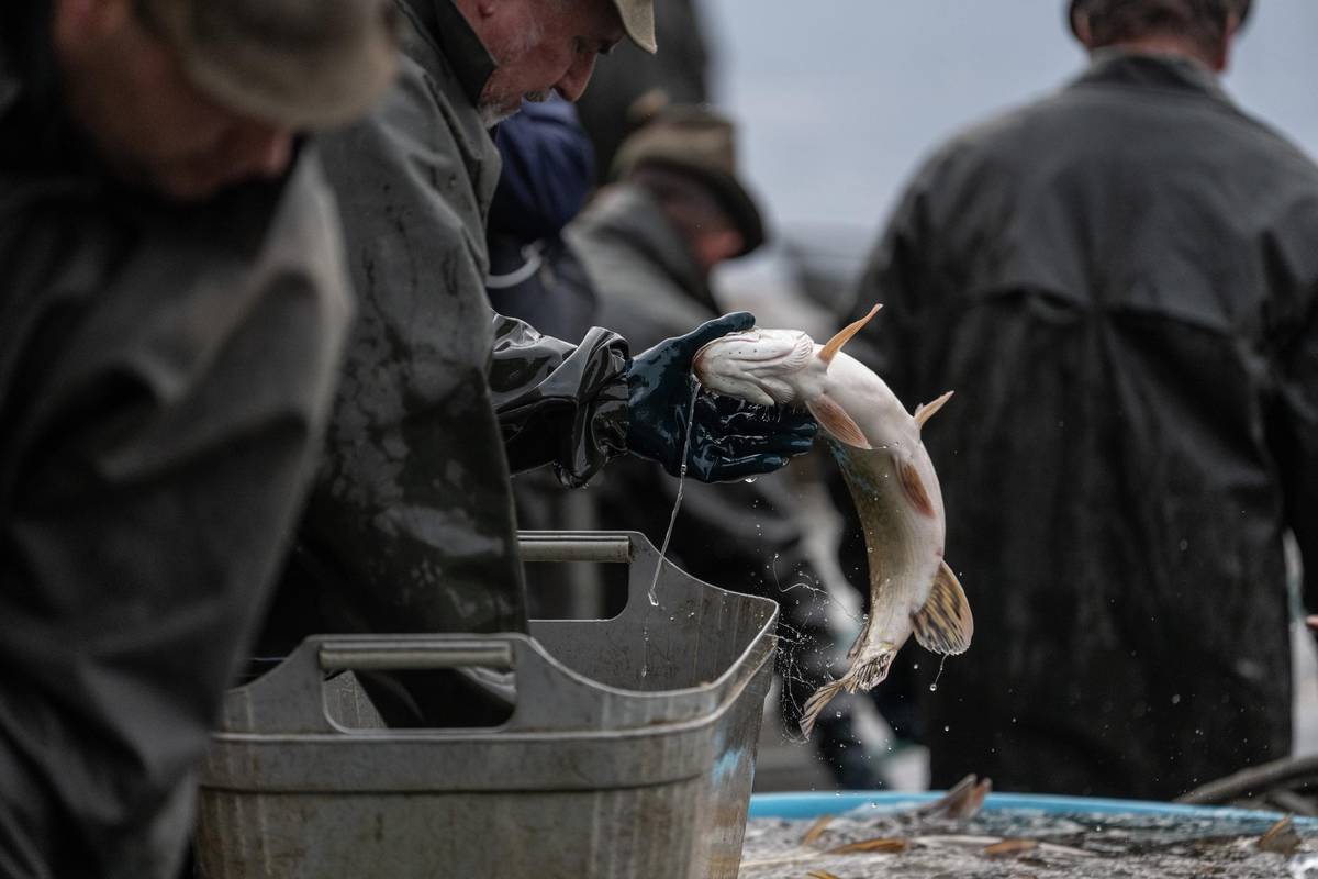 Rybáři dodržují na Třeboňsku tradice a i jejich oděv je jednotný.