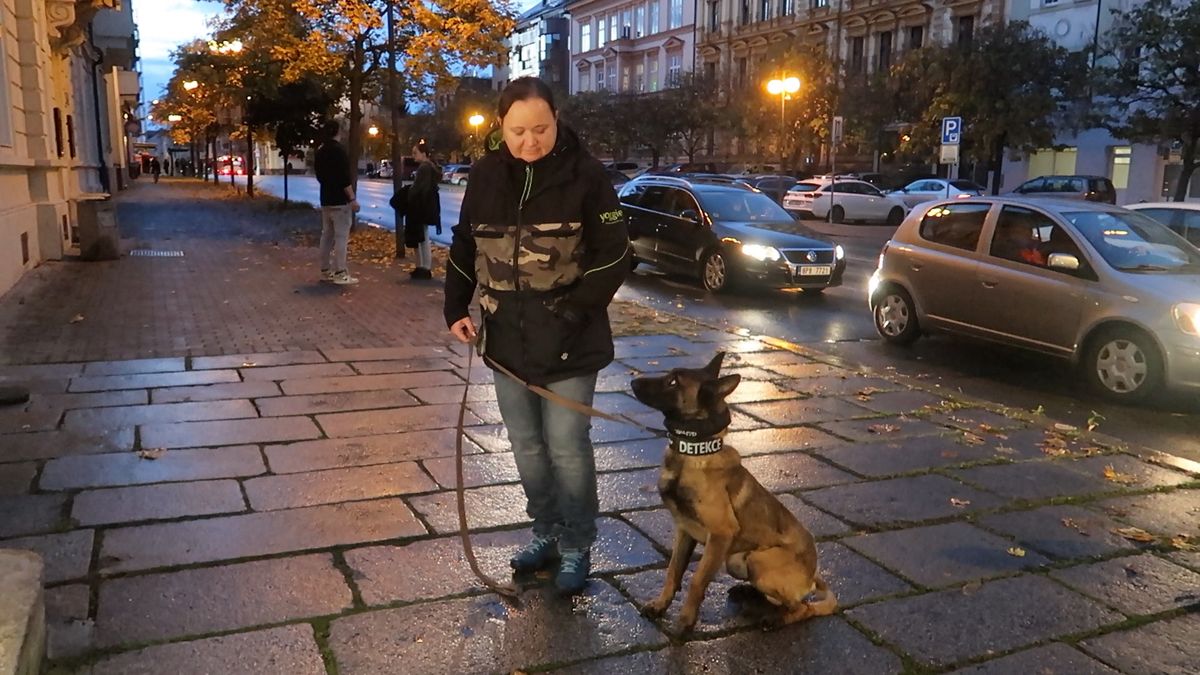 Český psí hrdina Avatar vyráží do boje proti pytlákům. Na cestu mu v Plzni zazpíval Daniel Hůlka